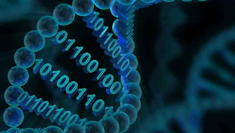 Invest in New Sapience | A New Paradigm of AI