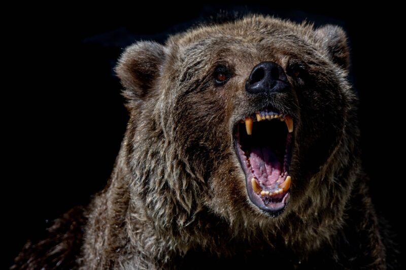 Bitcoin Plunges Under $60K; Crypto Bulls Lose $200M as Dogecoin, Solana Tokens Drop 10%